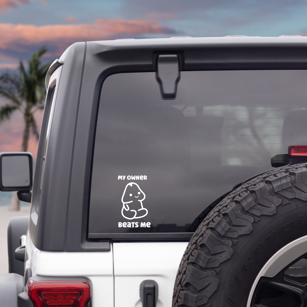 My Owner Beats Me Decal