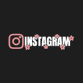 Custom Daisy Flower Instagram Decal