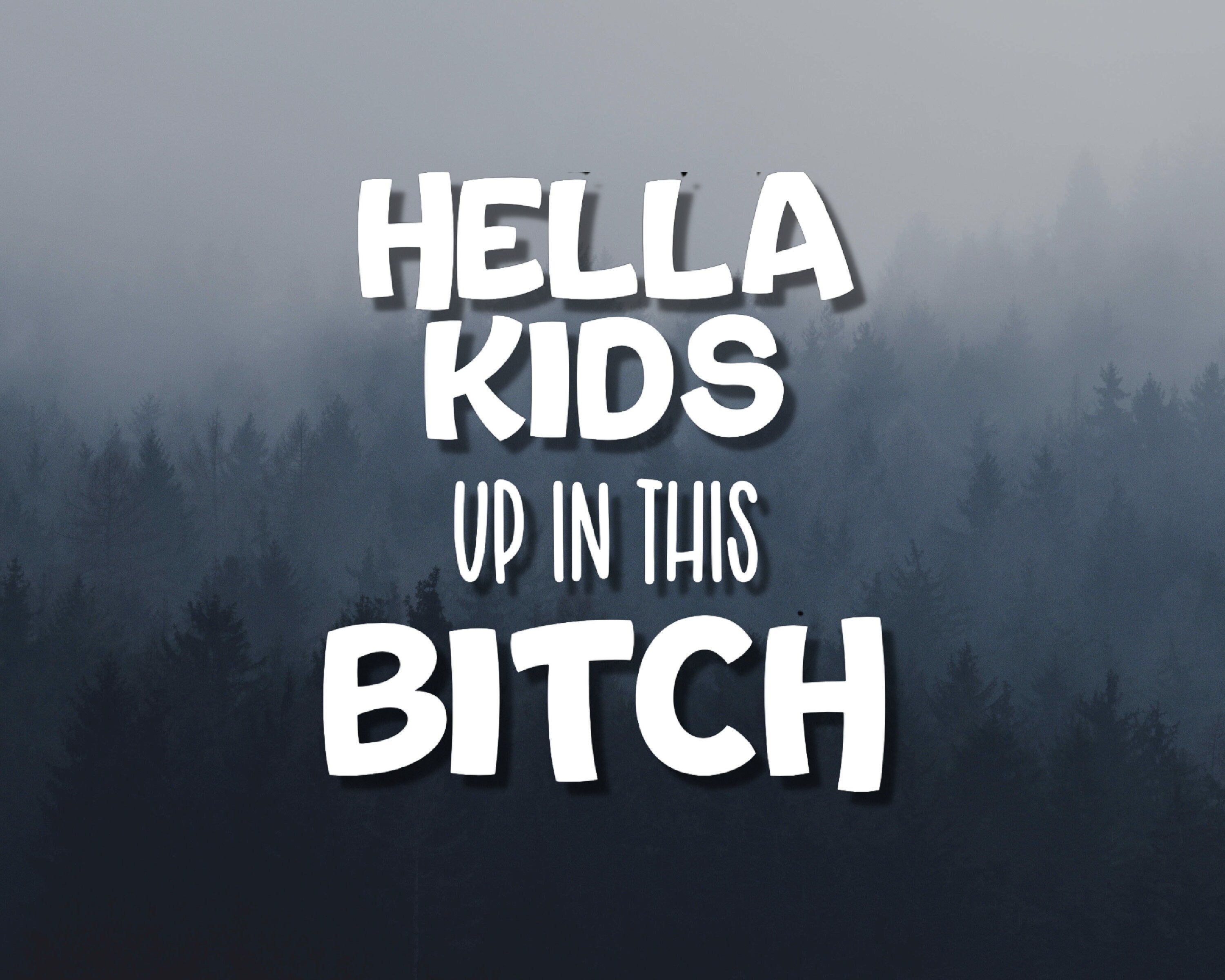 Hella Kids Up In This Bitch Vinyl Decal | Funny Baby On Board Sticker | Funny Bumper Stickers | Car Bumper Sticker | Kids On Board Decal