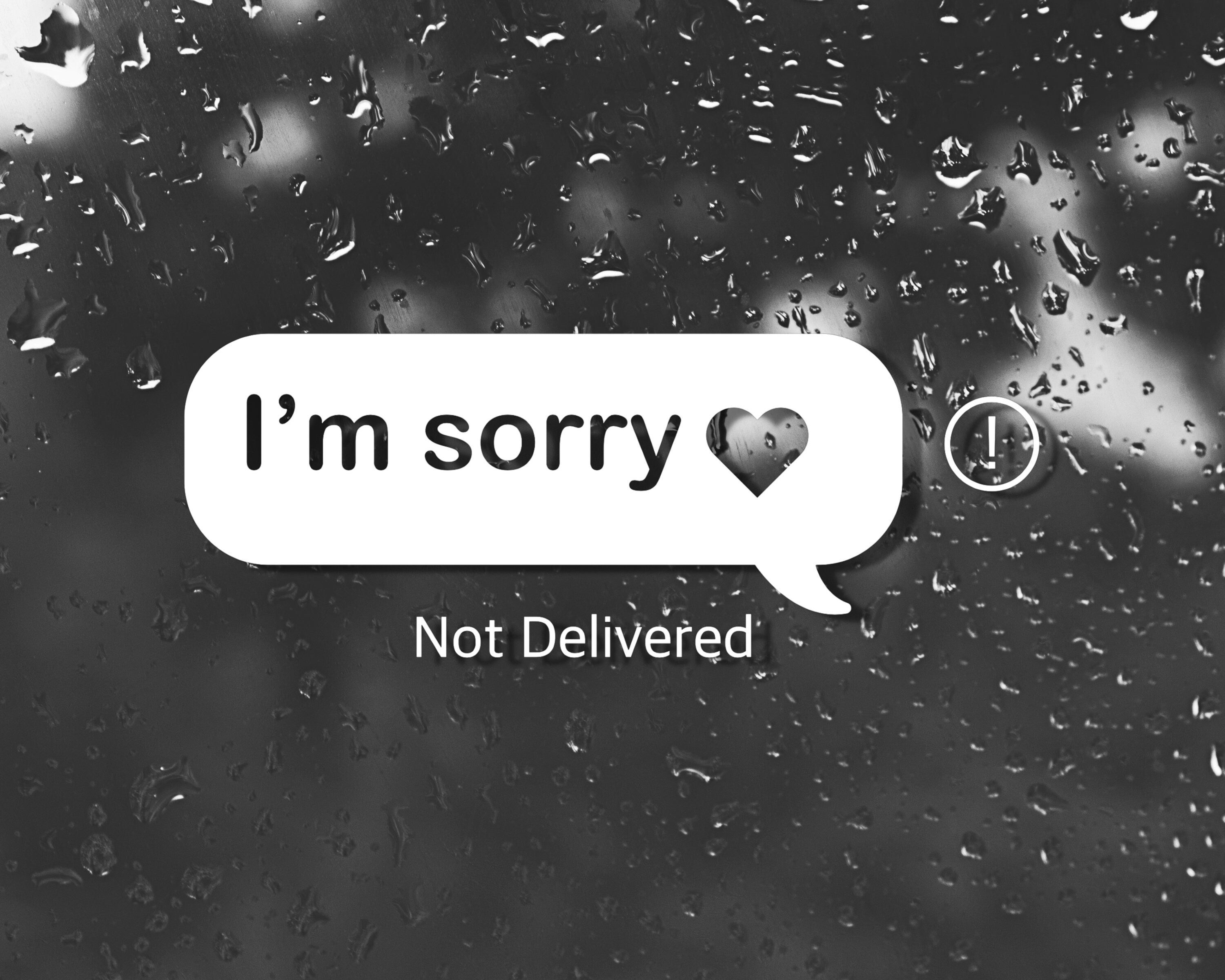 I’m Sorry Text Message Vinyl Decal | JDM Car Decals | Car Bumper Stickers | Sad Boys Decal | Sad Girls Decal | Window Decal