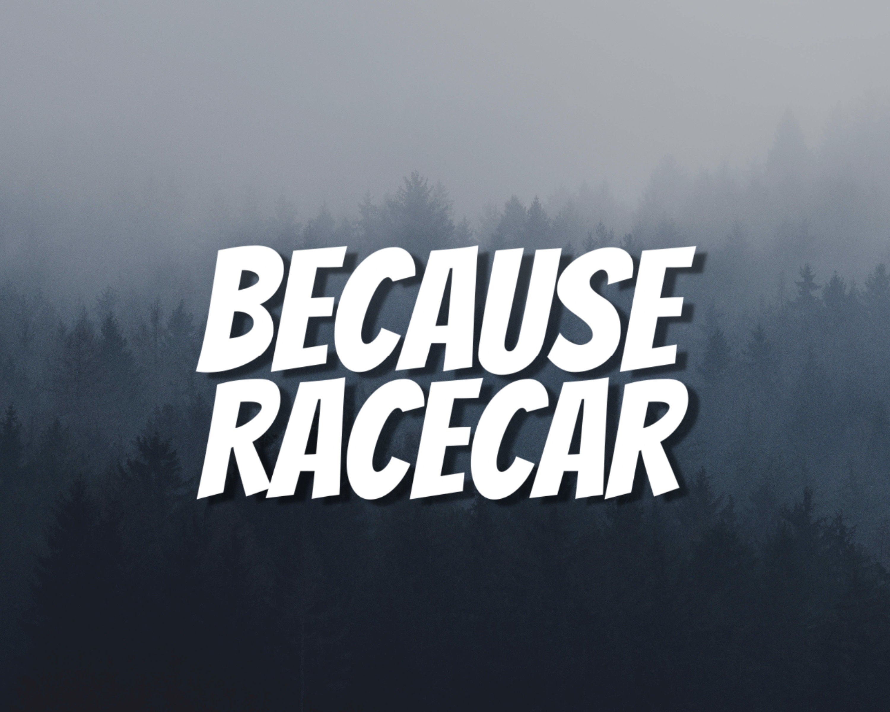 Because Racecar Vinyl Decal | JDM Car Decals | Funny Bumper Stickers | Racecar Vinyl Decal | JDM Decal | Window Sticker