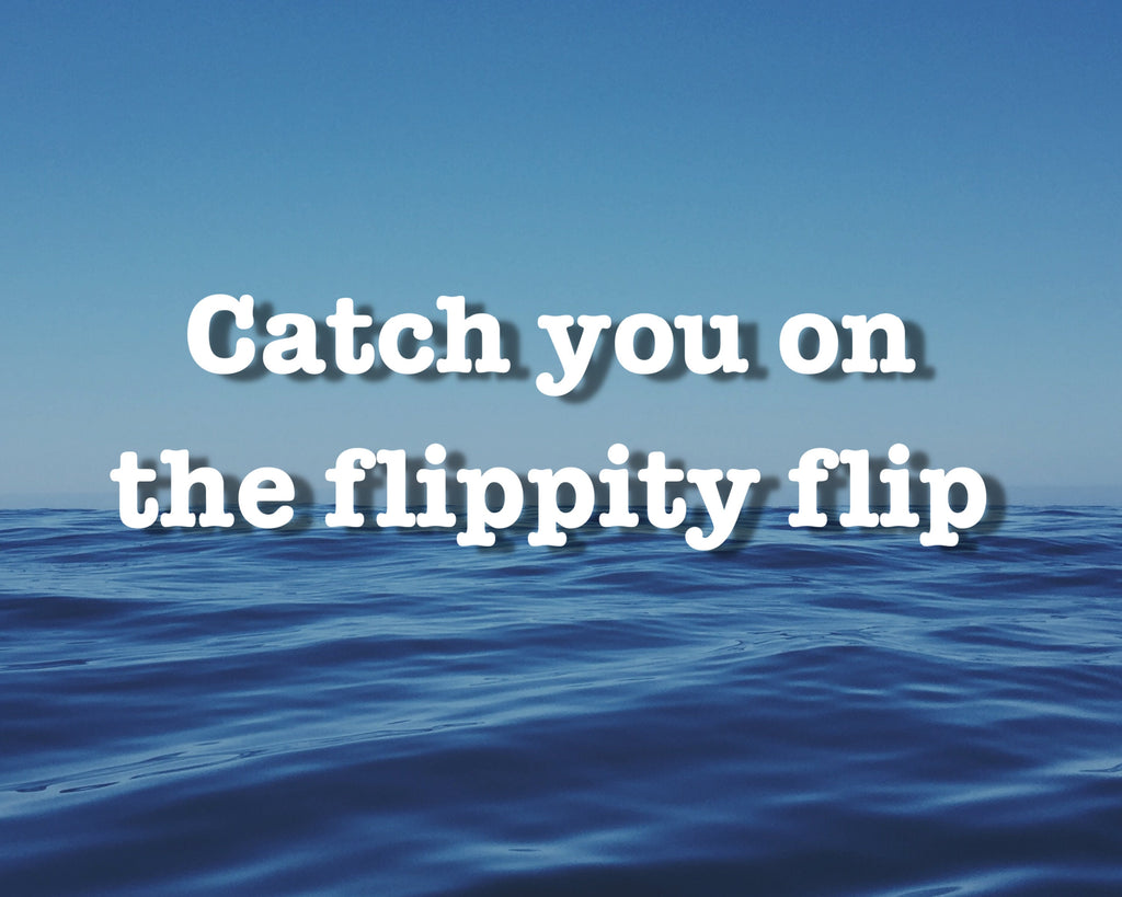 Catch you on the flippity flip decal | Funny Quote Decal | Car Decals | Car Bumper Stickers | Quote Car Decals | Funny Saying Sticker