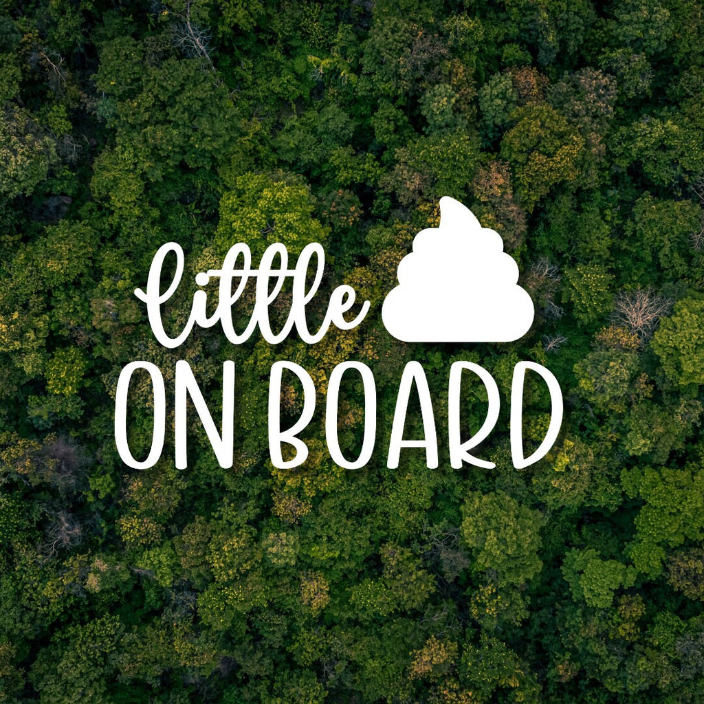 Baby On Board Decal | Little Shit On Board Car Decal | Baby Shower Gift | Multiple Sizes & Colors