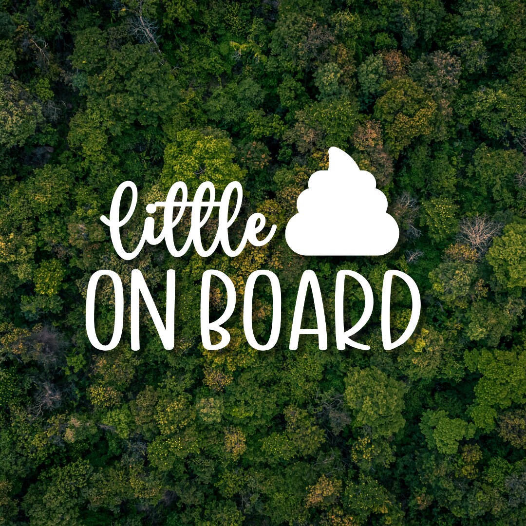 Baby On Board Decal | Little Shit On Board Car Decal | Baby Shower Gift | Multiple Sizes & Colors